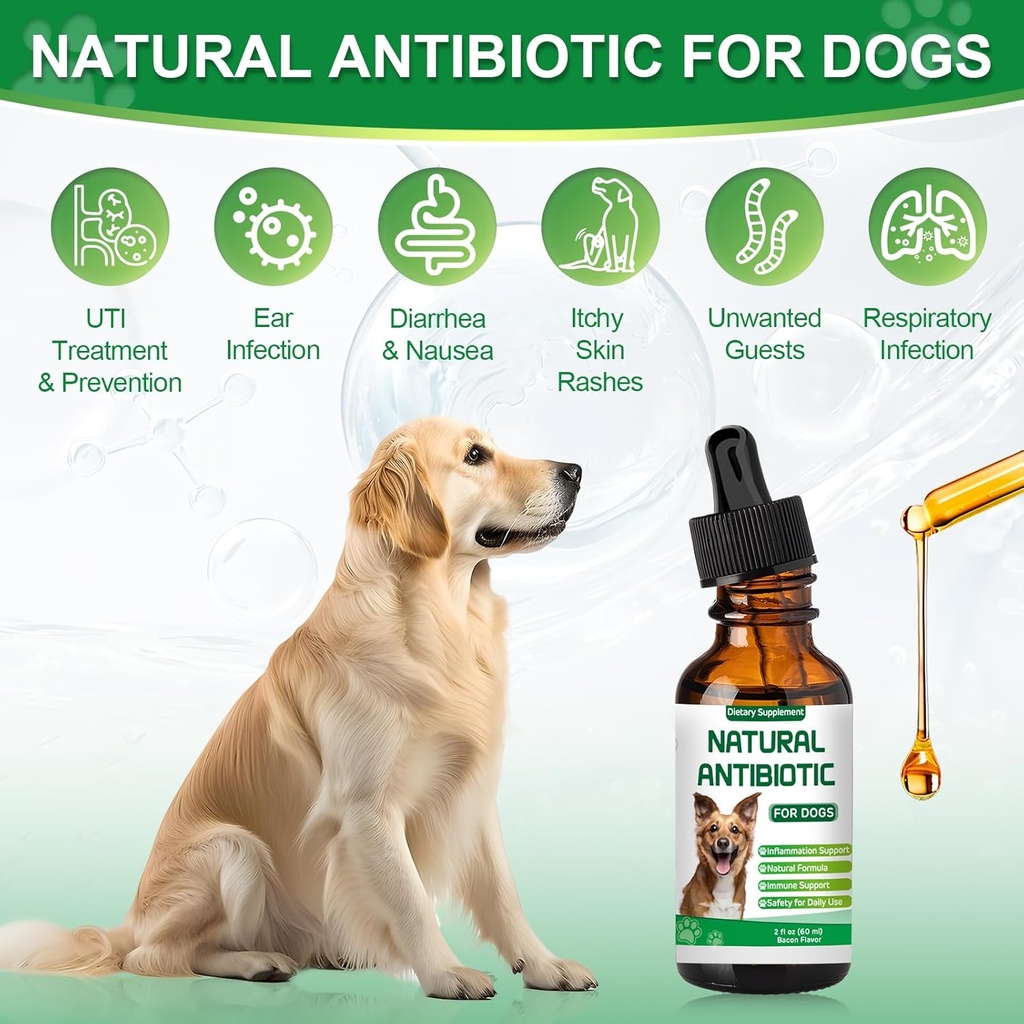 antibiotics-for-dogsnatural-antibiotics--4.jpg