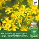 st-johns-wort-gummies-500mg-sugar-free-g-5.jpg