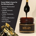 shilajit-pure-himalayan-organic-shilajit-2.jpg