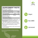 terry-naturally-gmt23-greek-mountain-tea-2.jpg