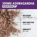 ashwagandha-protein-powder-24g-chocolate-4.jpg