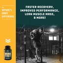 bundle-of-branch-chain-amino-acids-suppl-6.jpg