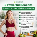 gut-support-live-probiotics-for-women-an-2.jpg
