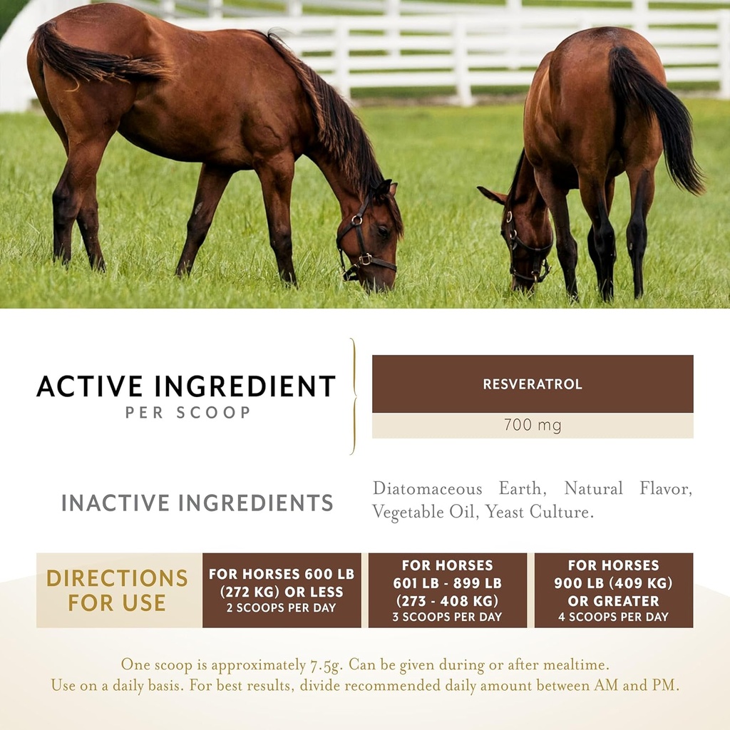 metabarol-horse-supplement-powder-with-r-3.jpg