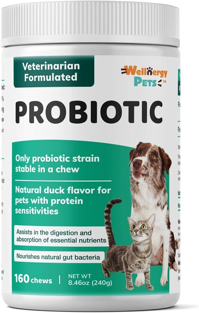 wellnergy-daily-probiotic-prebiotics-sof-4.jpg