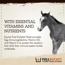 fullbucket-equine-foal-kickstart-paste-i-3.jpg