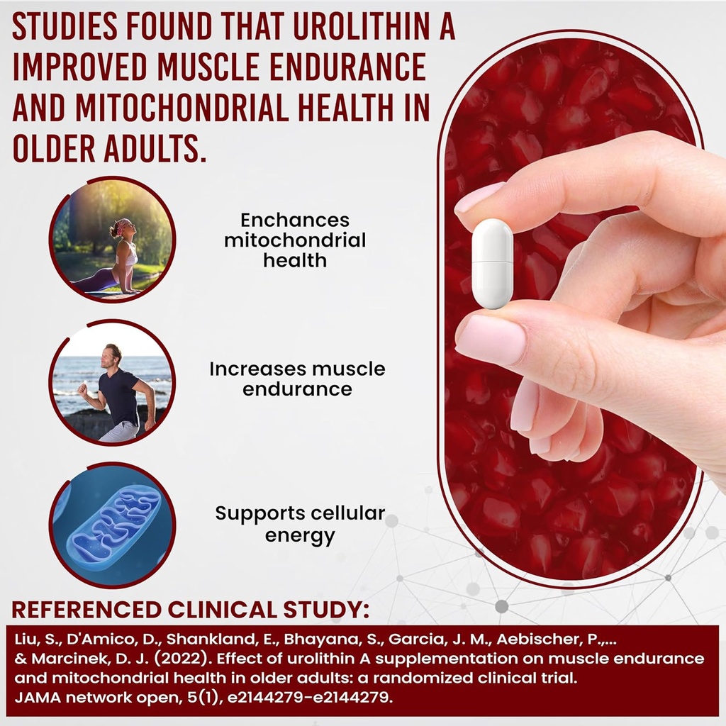 anti-aging-urolithin-a-supplement---pure-2.jpg