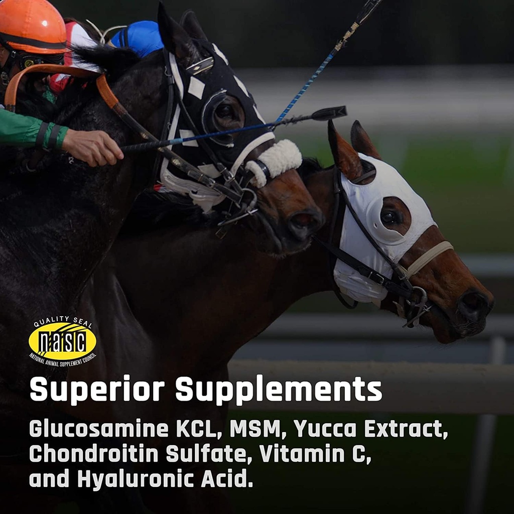 majestys-kalm-wafers---supports-horse-eq-5.jpg