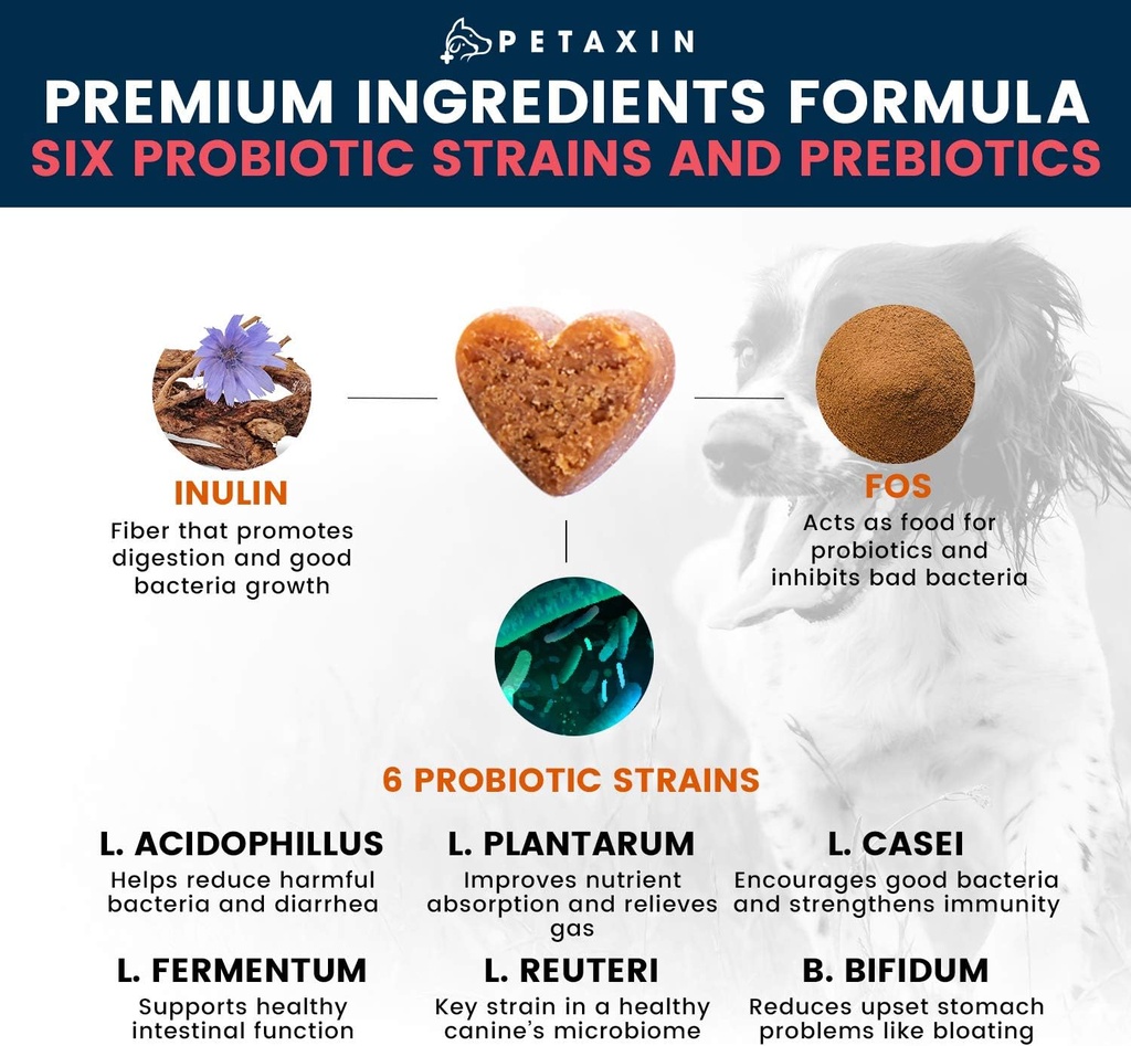 probiotics-for-dogs---6-strains-with-pre-4.jpg