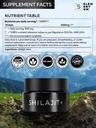 shilajit-pure-himalayan-organic-shilajit-2.jpg