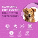 waggedy-advanced-probiotics-gut-digestio-6.jpg