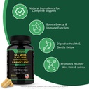 sea-moss-ashwagandha-black-seed-oil-supp-3.jpg