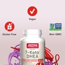 jarrow-formulas-7-keto-dhea-100-mg---up--5.jpg
