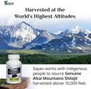 sayan-shilajit-90-capsules440mg-ea-organ-3.jpg
