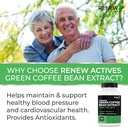 renew-actives-high-potency-green-coffee--5.jpg