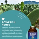 healthforce-superfoods-intestinal-moveme-5.jpg