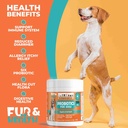 probiotics-for-dogs-digestive-health-sup-2.jpg