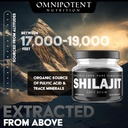 himalayan-shilajit-resin---organic-shila-3.jpg