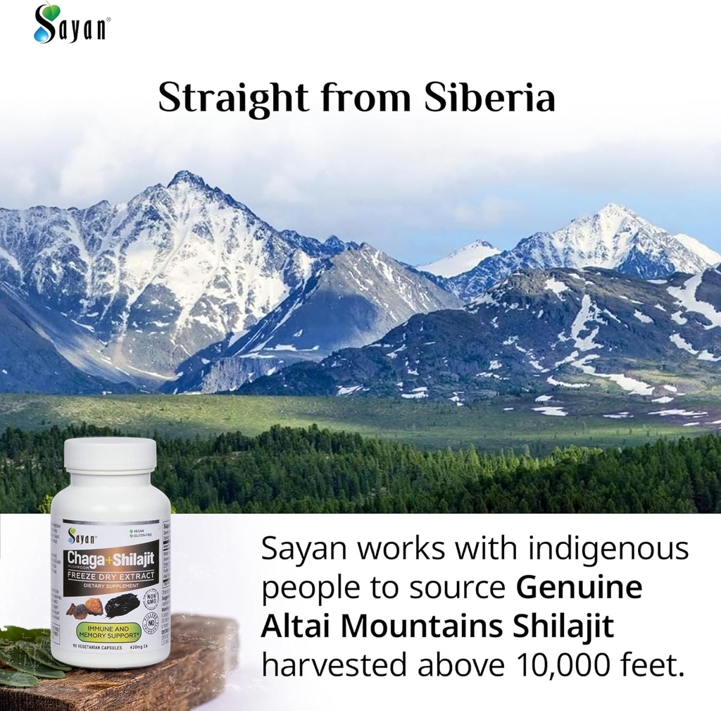 sayan-siberian-chaga-mushroom-extract-wi-6.jpg