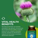 healthforce-superfoods-liver-rescue---na-6.jpg