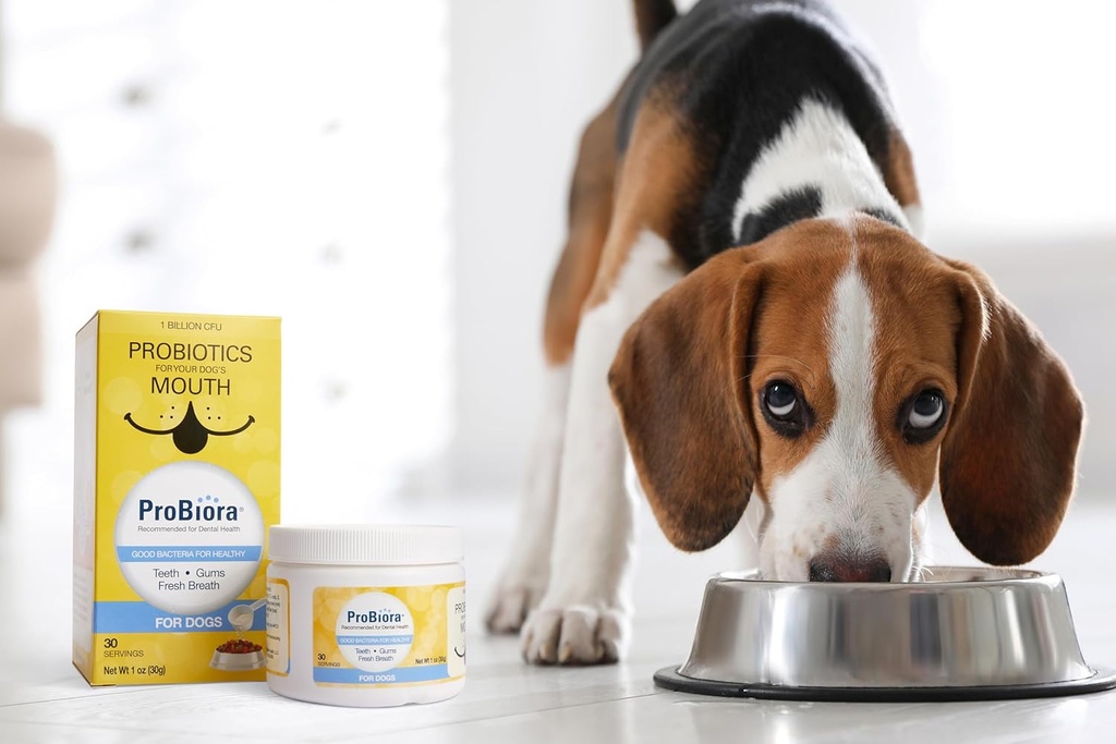 probiora-for-dogs-dog-probiotic-suppleme-3.jpg