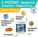 probiotics-for-dogs-improve-itchy-skin-i-3.jpg