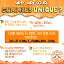 pure-himalayan-shilajit-gummies---high-p-5.jpg