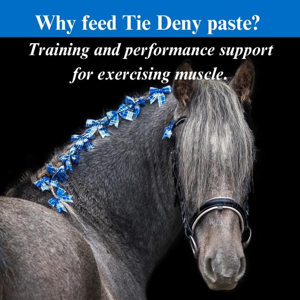 su-per-tie-deny-paste-for-horses---energ-2.jpg