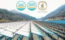 gangwoninsam-korean-red-ginseng-extract--6.jpg