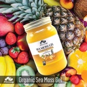 lizzey-100-organic-pineapple-flavored-se-2.jpg