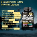 shilajit-9000-mg-ashwagandha-2000-mg-rho-4.jpg