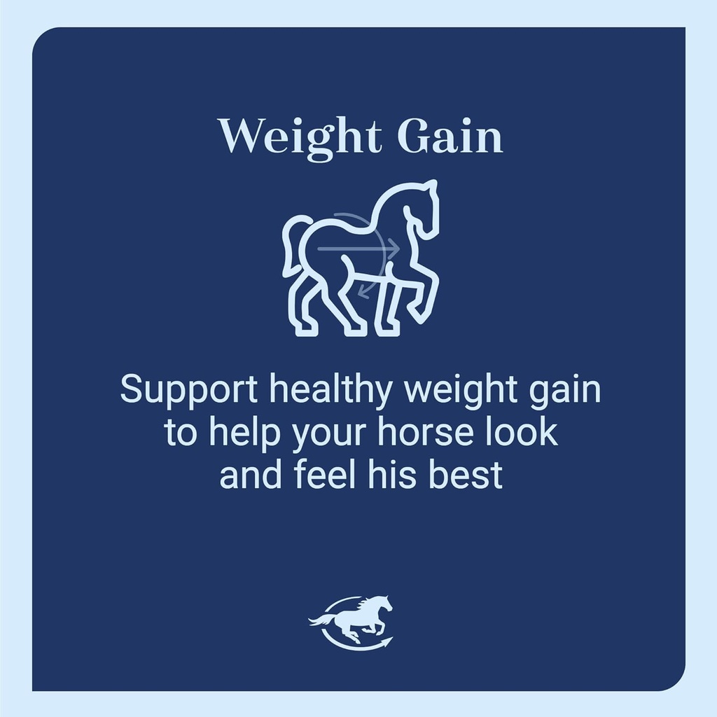 smart-simple-99-fat-horse-weight-gain-su-5.jpg