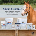 smart-simple-99-fat-horse-weight-gain-su-6.jpg