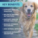 under-the-weather-pet-soft-dog-chew-supp-4.jpg
