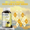 shilajit-pure-himalayan-organic-shilajit-4.jpg