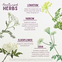 wishgarden-herbs-serious-v-fighter---pla-4.jpg