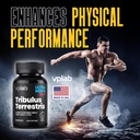 vplab-ultra-mens-tribulus-terrestris---d-5.jpg