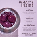 sleep-gummies---sugar-free-melatonin-gum-3.jpg