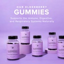 the-elderberry-co-extra-strength-elderbe-3.jpg