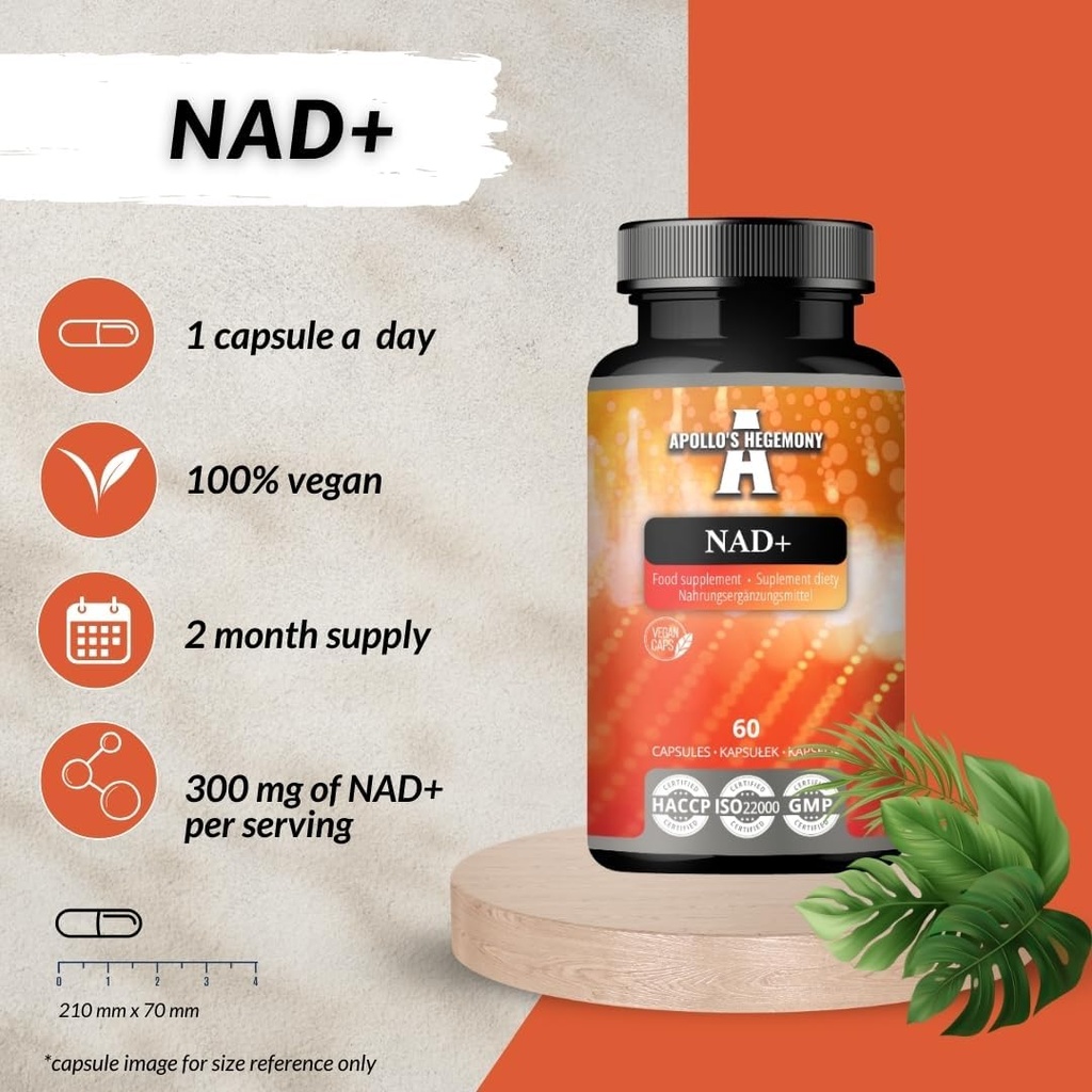 apollos-hegemony-nad-300-mg---coenzymati-3.jpg
