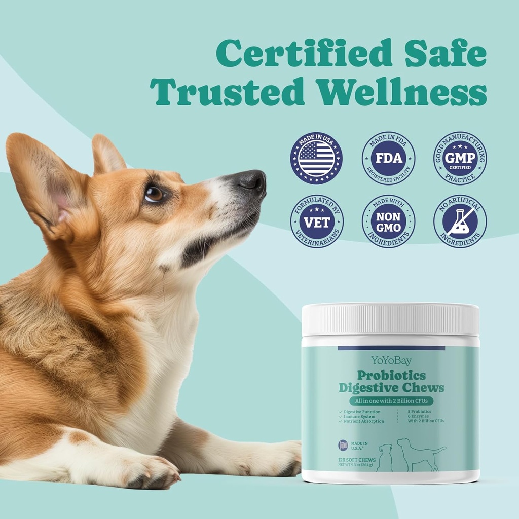 probiotics-for-dogs-dog-probiotics-and-p-4.jpg