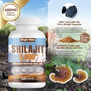 shilajit-himalayan-capsules---pure-himal-3.jpg