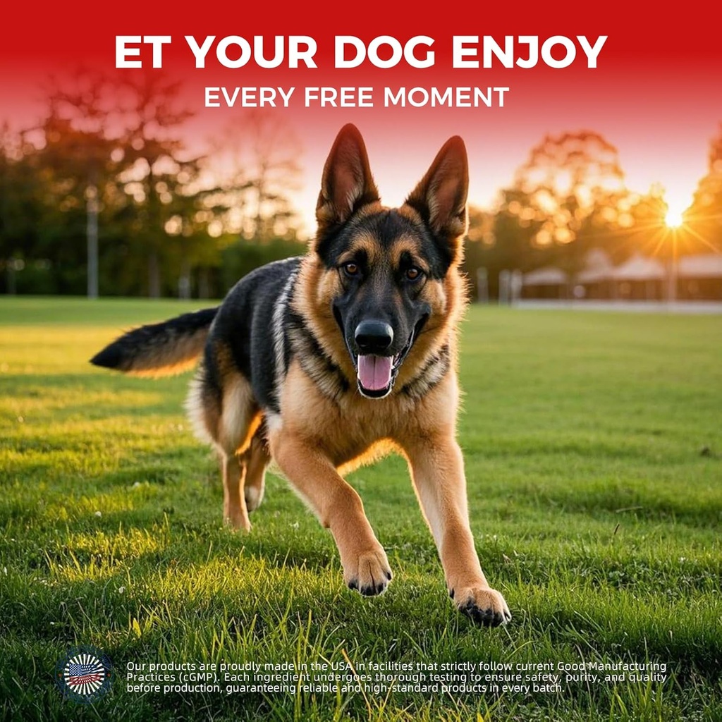 dog-hip-and-joint-supplement---dog-pain--3.jpg