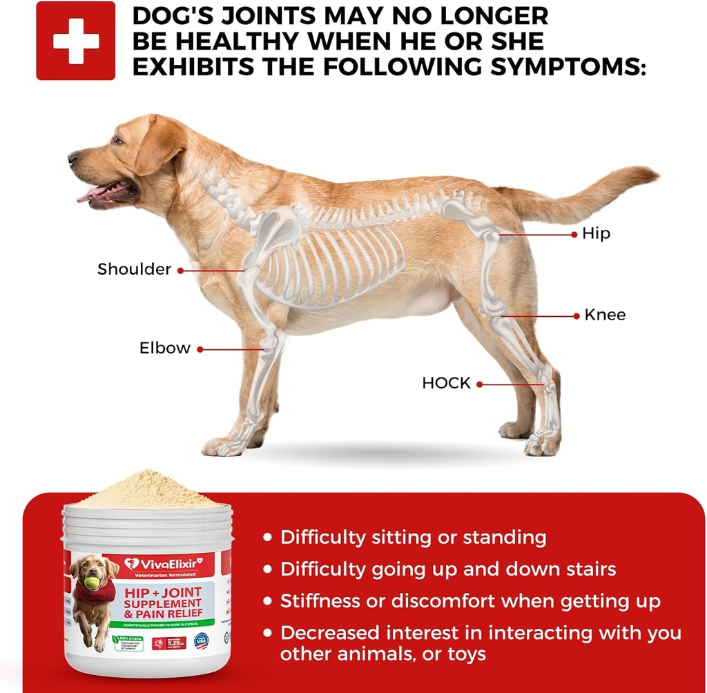 dog-hip-and-joint-supplement---dog-pain--5.jpg