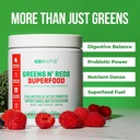 gobiotix-super-greens-and-reds-powder----3.jpg