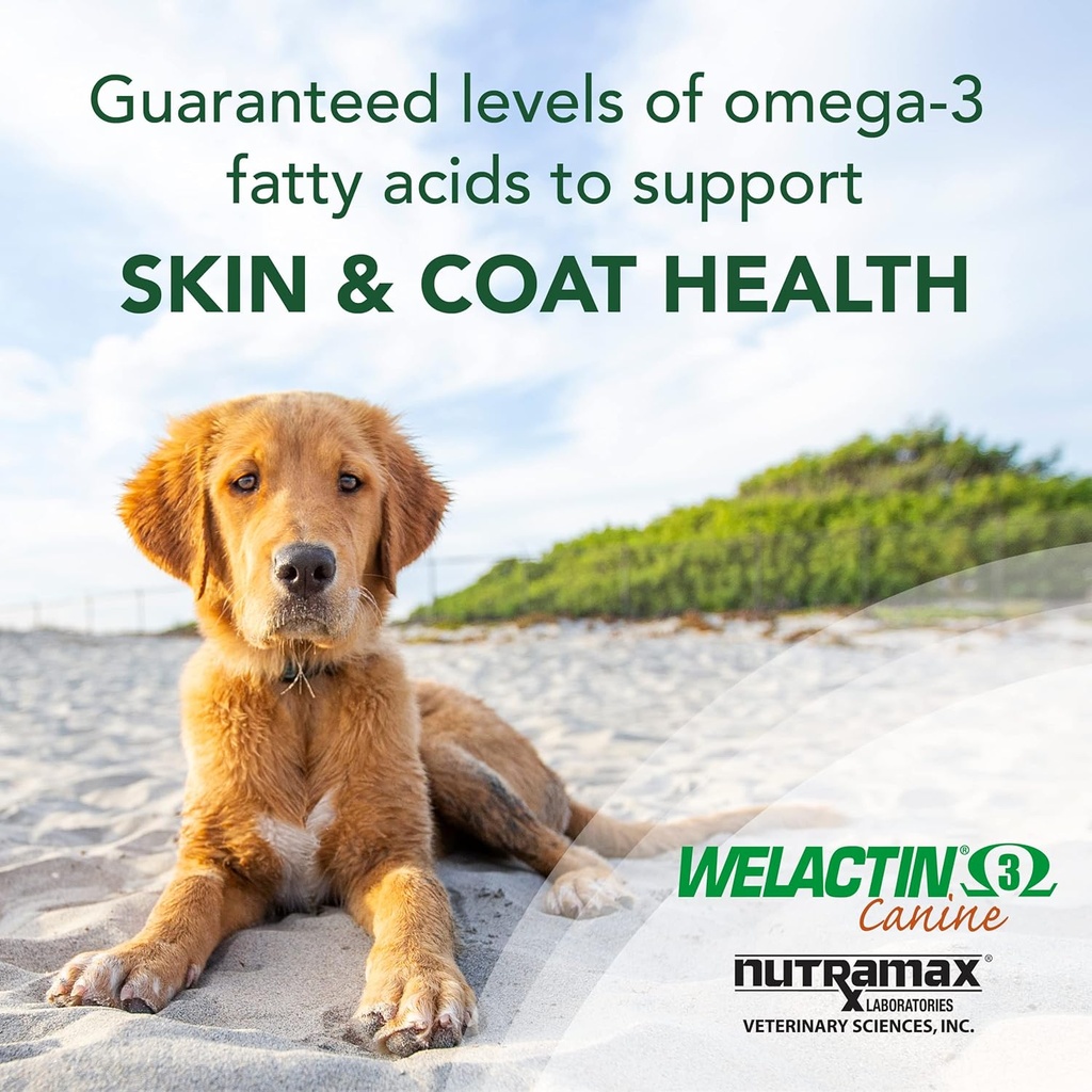nutramax-welactin-omega-3-fish-oil-skin--3.jpg