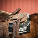 equine-gut-guard-10-lb-probiotic-and-pre-6.jpg