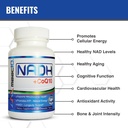 MAAC10 NADH + CoQ10 Chewable Tablets (3-Pack - 180 Tablets) | 50mg PANMOL® NADH + 100mg CoQ10 Supports Fatigue, Energy and NAD+, Non-GMO, Gluten Free, Vegetarian (3 Month Supply) 5