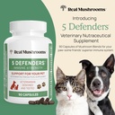 real-mushrooms-5-defenders-for-humans-45-6.jpg