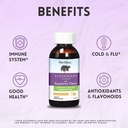 herbion-naturals-elderberry-syrup-health-4.jpg